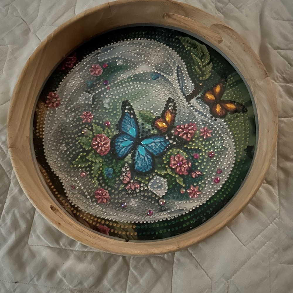 Colorful Butterfly and Floral Art Bowl.       Life Inside.